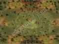红色警戒2Soldier Game地图包