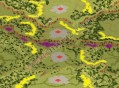 红色警戒2遗落森林地图2-8